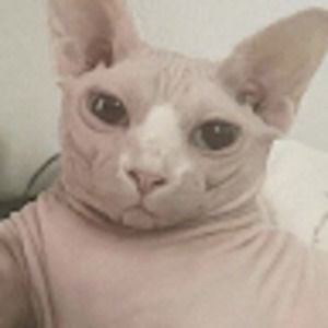 Meet your Posher, Aly